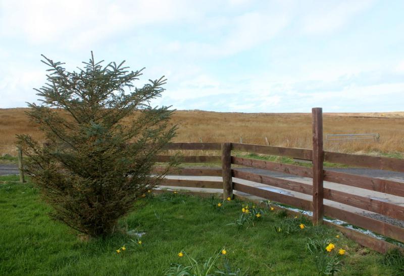 Hillside Camping Pods And Shepherd'S Hut Wick  Exteriör bild