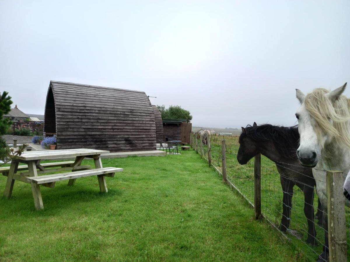 Hillside Camping Pods And Shepherd'S Hut Wick  Exteriör bild